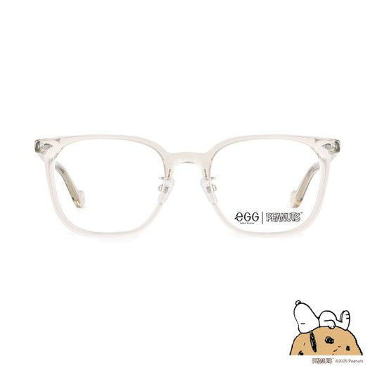 PEANUTS Party- SNOOPY WOODSTOCK (FEGC02251151CKSCKS)