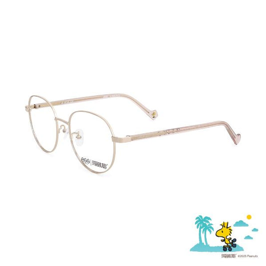 PEANUTS Woodstock- (FEGG02251173G1SCKS)